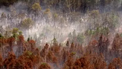 Crews monitoring grass fire in SW Miami-Dade that has burned 4.5 acres