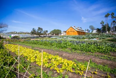 San Diego Moms: Mom celebrates 10 years of Coastal Roots Farm education