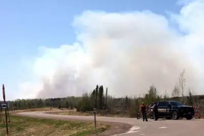 Largest northeastern Minnesota wildfire ‘related to a human cause’