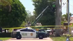 Worker electrocuted while trimming palm tree in SW Miami-Dade