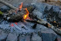 Northwoods comes to life with sounds of spring during evening by campfire