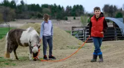 Boy with autism’s equine experience leads Stillwater mom to offer free horse visits