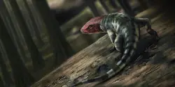 How ancient reptile footprints are rewriting the history of when animals evolved to live on land